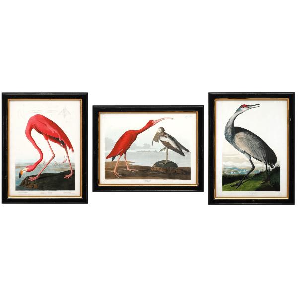 Large Birds Wall Art, 40cm