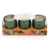 Votive Candles Set of 3- Maple and Cardamom