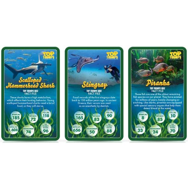 TOP TRUMPS SEALIFE - Image 2