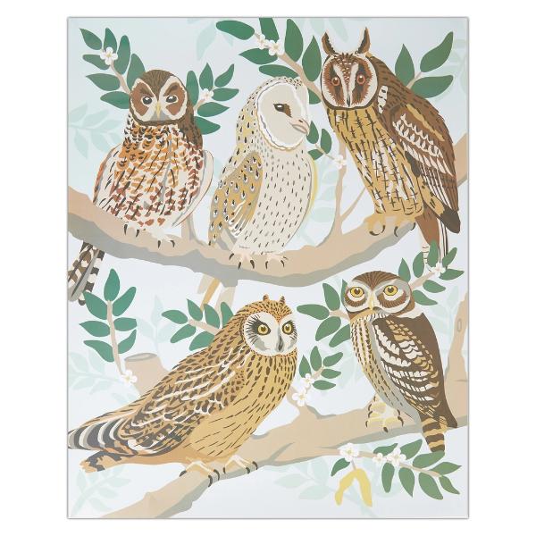 Natural History Museum Paint By Numbers Owls Hanging Kit - Image 3
