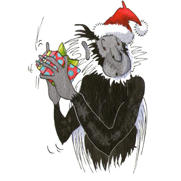 Christmas Card - Colobus Shaking Present/HS165