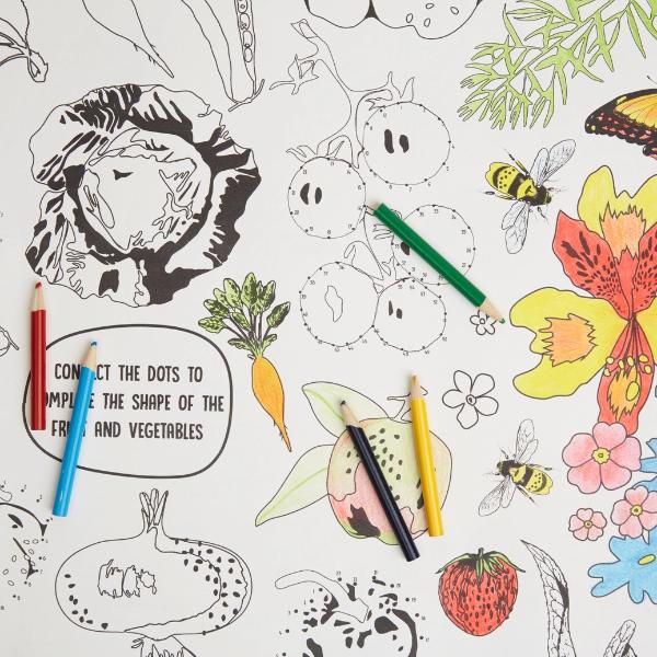 RHS Colouring Roll & Pencils White, 3 Meters Bugs and Blooms - Image 3