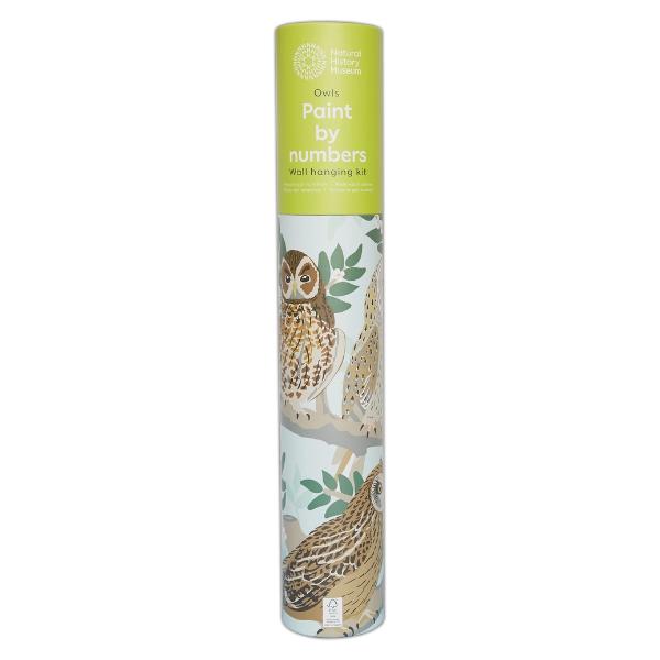 Natural History Museum Paint By Numbers Owls Hanging Kit