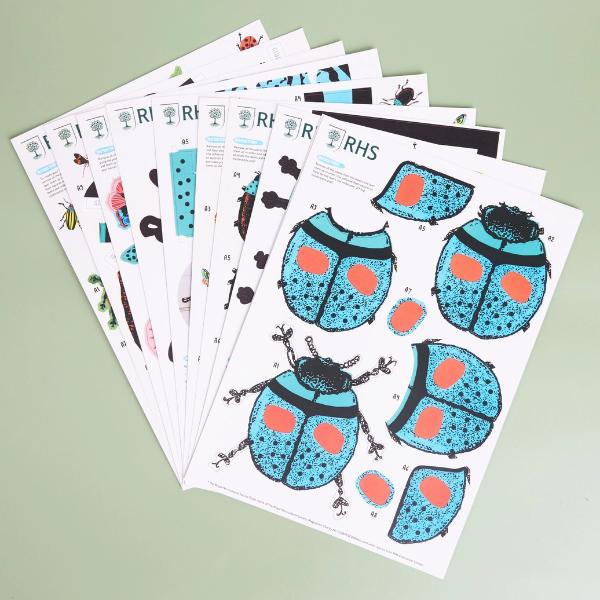 Royal Horticultural Society Make Your Own 3D Bugs Kit - Image 3