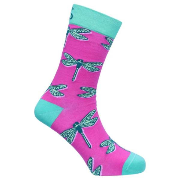 Dragonflies S12A2018