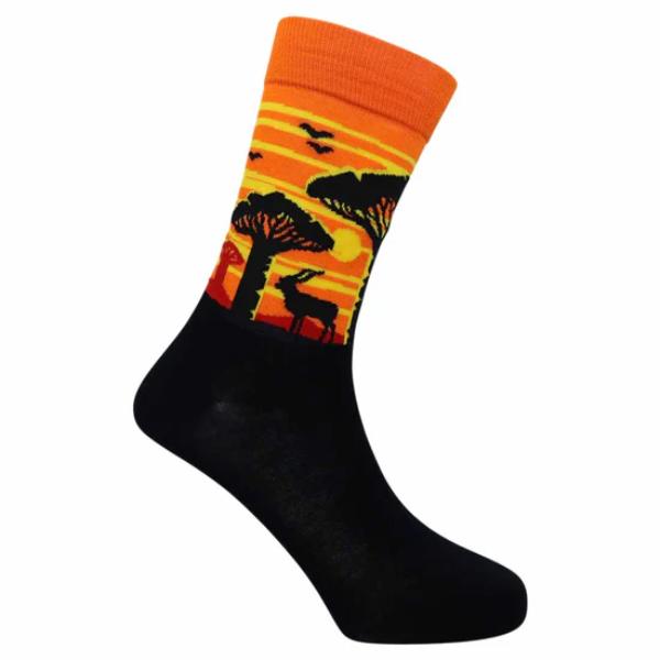 Savannah Sunset S11A2057