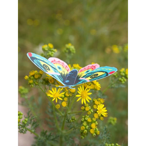 Royal Horticultural Society Make Your Own 3D Bugs Kit - Image 4