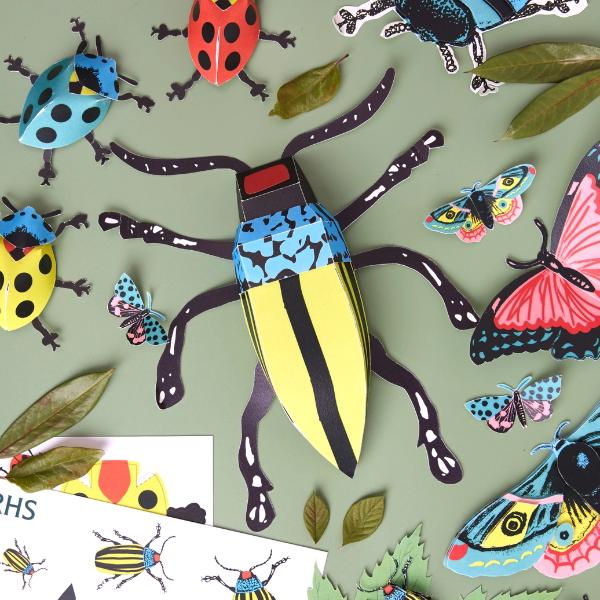 Royal Horticultural Society Make Your Own 3D Bugs Kit - Image 5