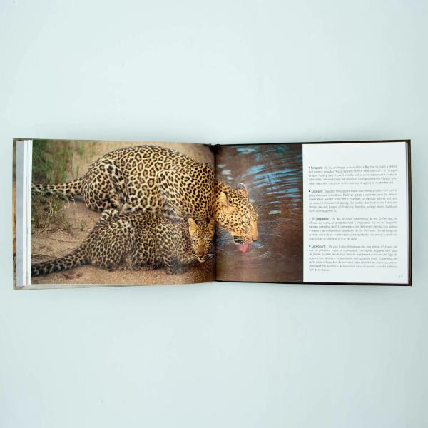 Young Wildlife Small Hardcover - Image 3