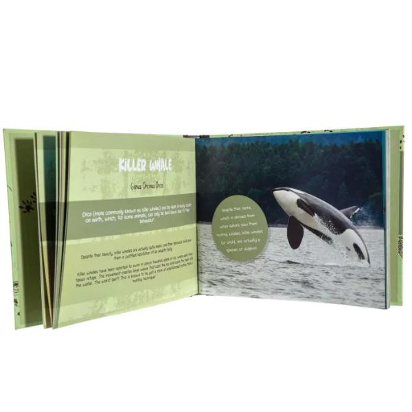 Disturbed By Nature - Image 3