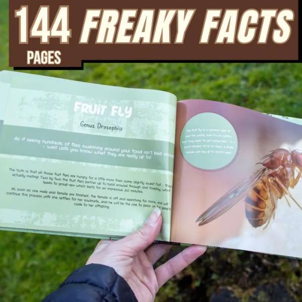 Disturbed By Nature - Image 2