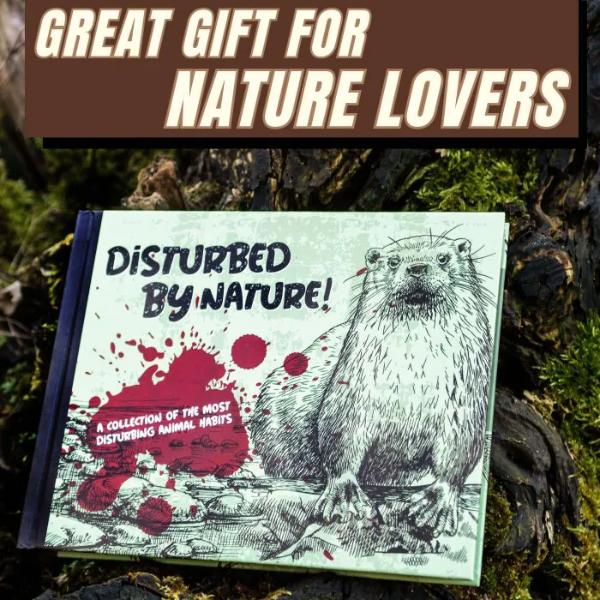 Disturbed By Nature