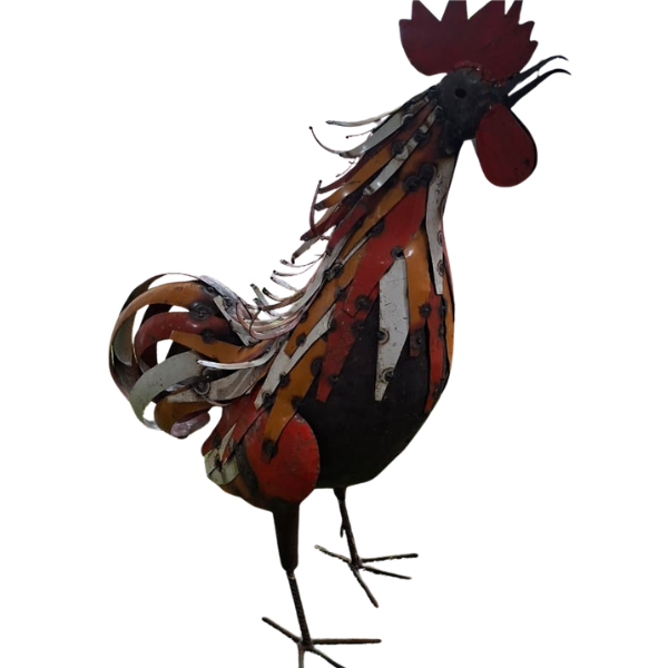 Rooster