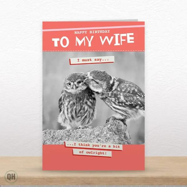 I Think You're A Bit Of Owlright! - Funny Wife Birthday Card KA3328