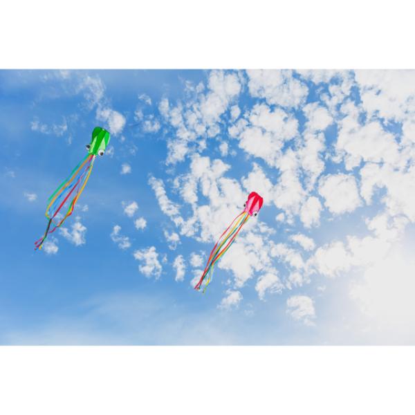 Octopus Kites Assorted - Image 5