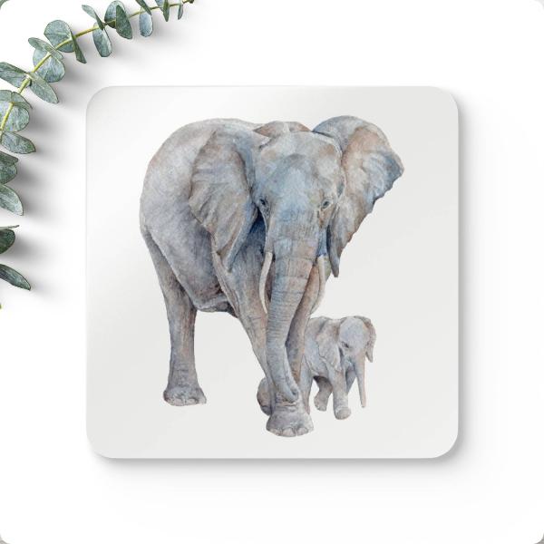 Coaster Elephant Mom/Calf