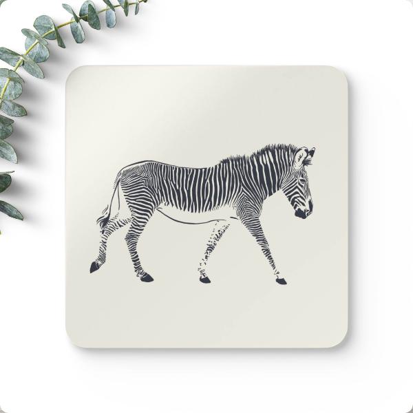 Coaster Grevys Zebra Walking