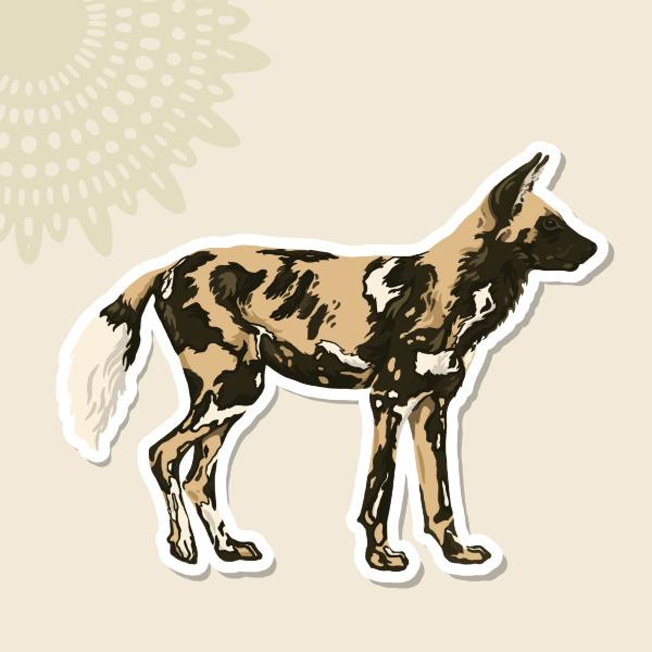 Sticker African Wild Dog