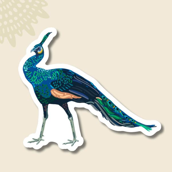 Peacock Sticker