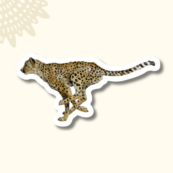 Cheetah Running Bumper Sticker
