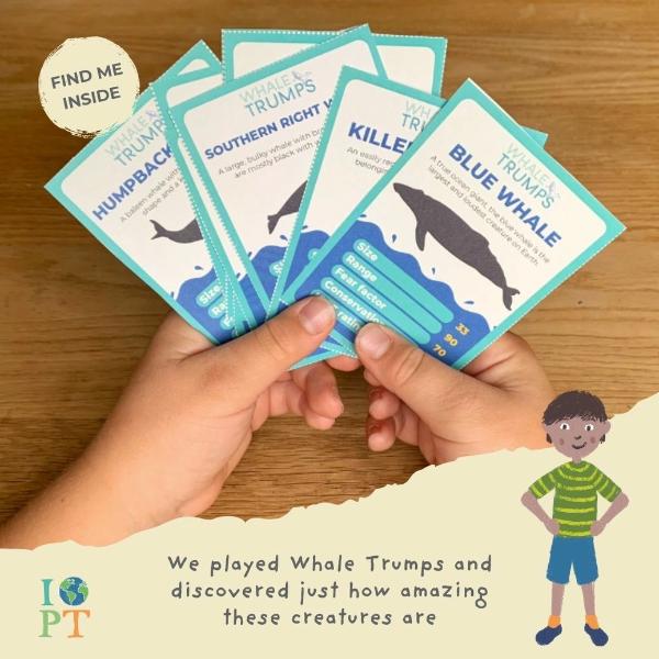 Brilliant Blue Whales Eco Activity Kit & Sustainable Fun - Image 8