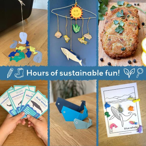 Brilliant Blue Whales Eco Activity Kit & Sustainable Fun - Image 10