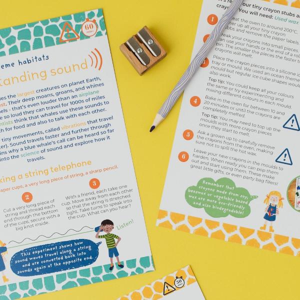 Brilliant Blue Whales Eco Activity Kit & Sustainable Fun - Image 6