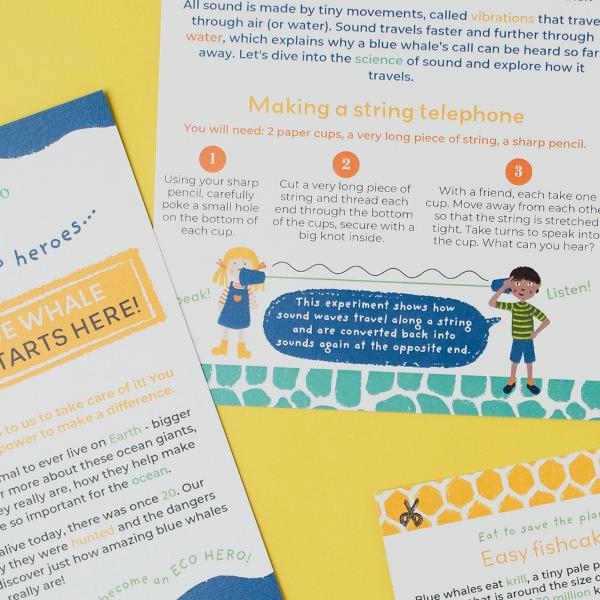 Brilliant Blue Whales Eco Activity Kit & Sustainable Fun - Image 14