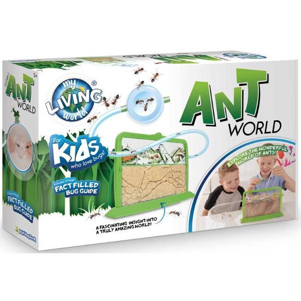 Ant World