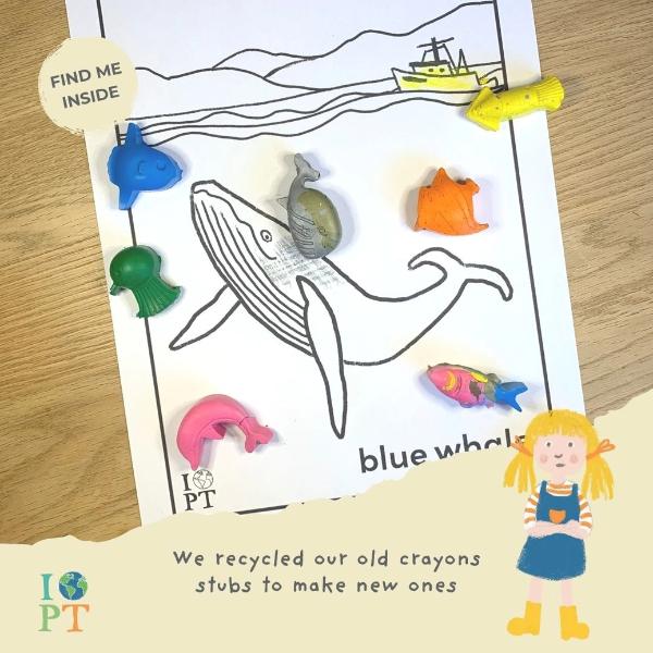 Brilliant Blue Whales Eco Activity Kit & Sustainable Fun - Image 15
