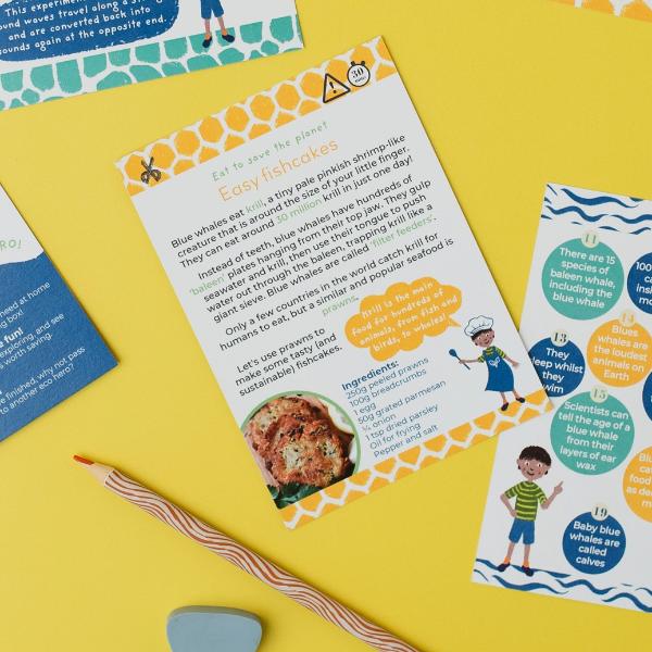 Brilliant Blue Whales Eco Activity Kit & Sustainable Fun - Image 16