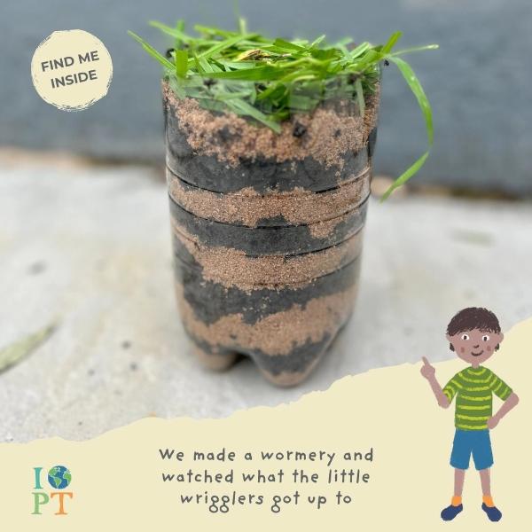 Secret Life Of Birds Eco Activity Kit & Sustainable Fun - Image 7