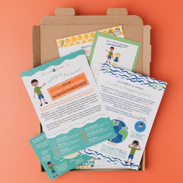 Secret Life Of Birds Eco Activity Kit & Sustainable Fun - Image 5