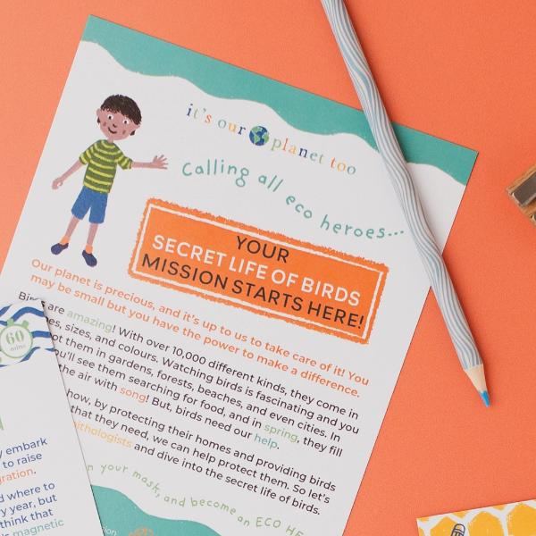 Secret Life Of Birds Eco Activity Kit & Sustainable Fun - Image 11