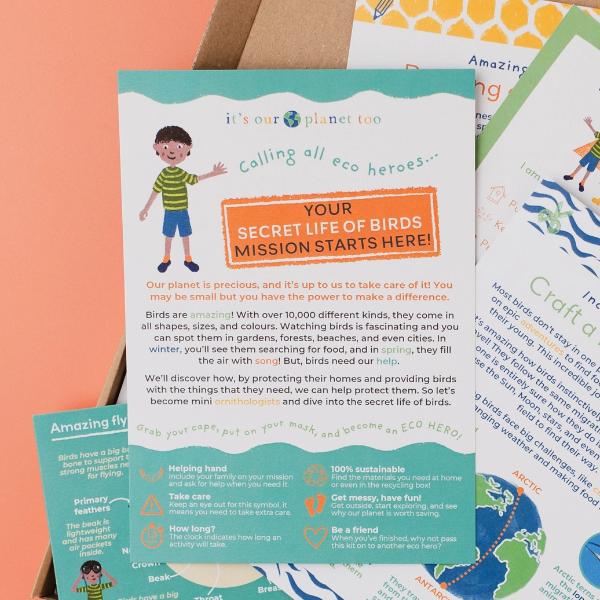 Secret Life Of Birds Eco Activity Kit & Sustainable Fun - Image 10