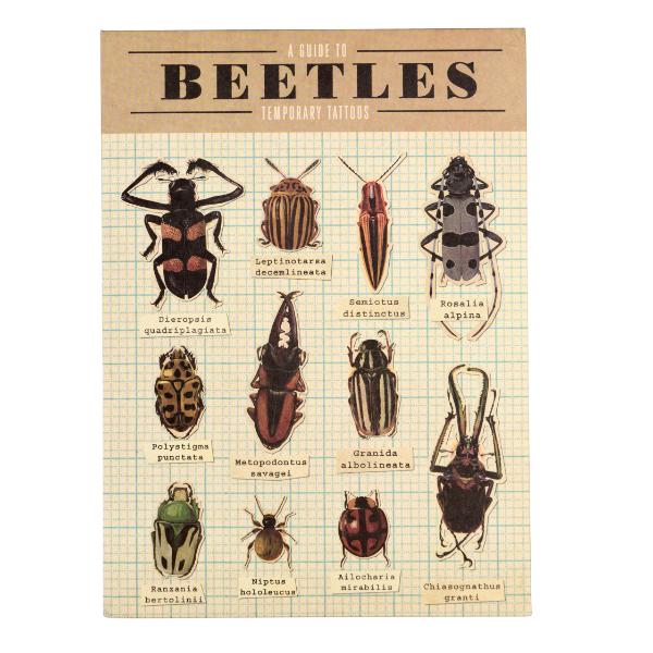 Temporary Tattoos - Beetles - Image 2