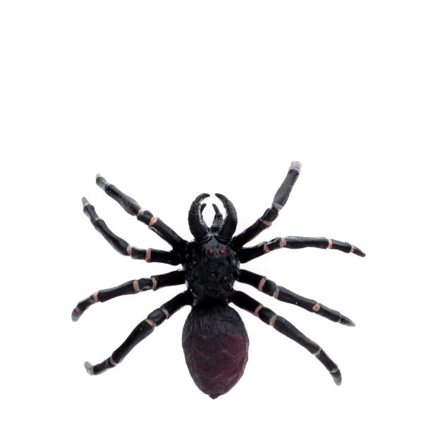 Realistic Tarantula Toy - Image 3